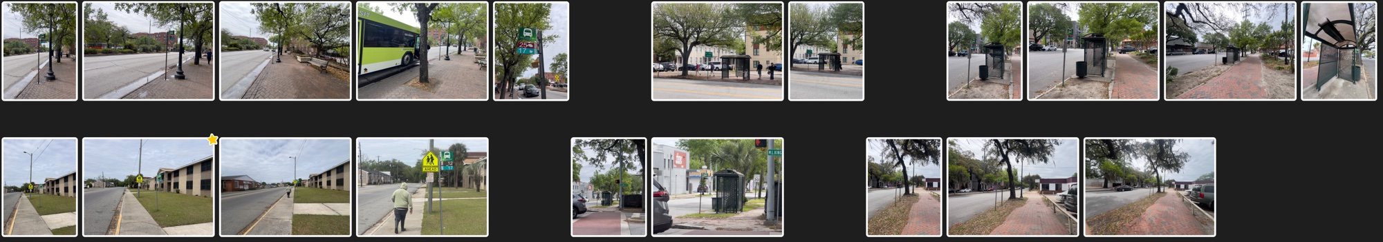 Grid of photos from visits to bus stops around Savannah, most of them a sign on a pole beside the sidewalk